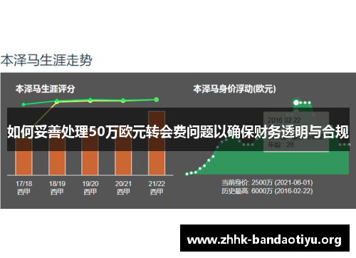 如何妥善处理50万欧元转会费问题以确保财务透明与合规