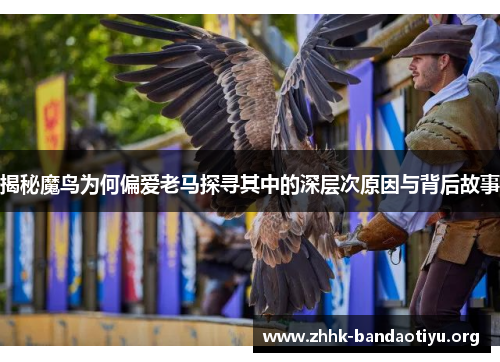 揭秘魔鸟为何偏爱老马探寻其中的深层次原因与背后故事