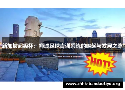 新加坡超级杯：狮城足球青训系统的崛起与发展之路